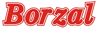 Logo Borzal